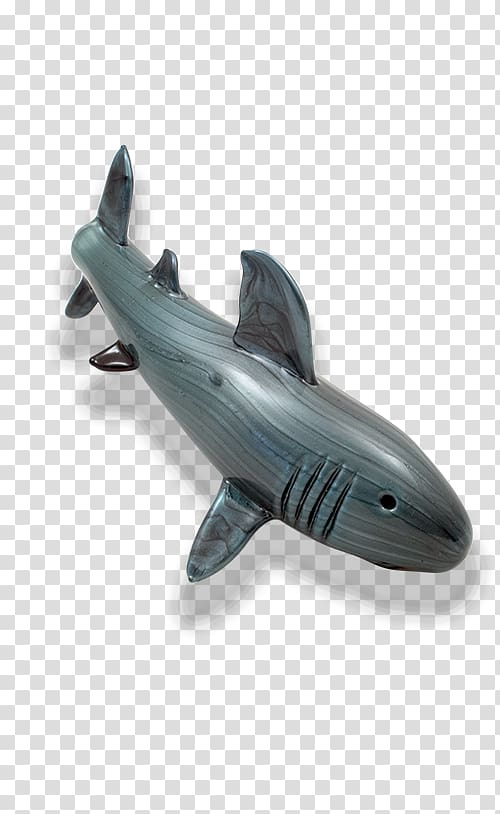 Requiem sharks Squaliform sharks, Shark attack transparent background PNG clipart
