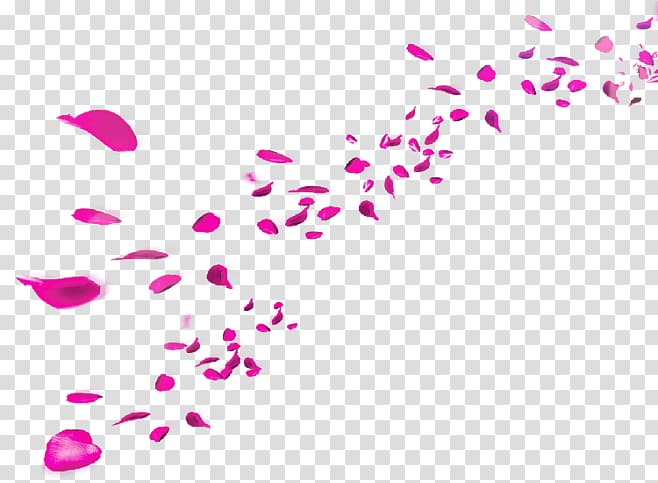 Petal Editing , Falling Petals transparent background PNG clipart