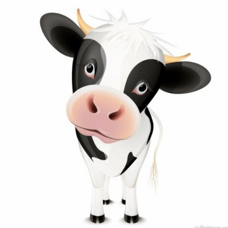 Cattle Ox Live , cow transparent background PNG clipart