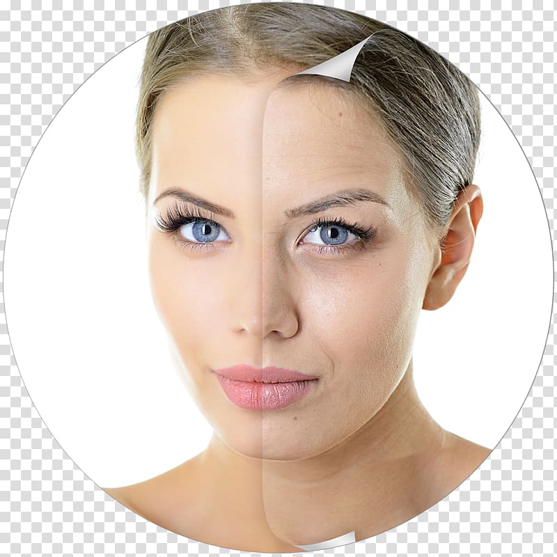Anti-aging cream Ageing Wrinkle Life extension Therapy, anti-aging transparent background PNG clipart