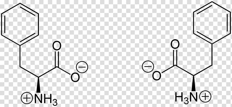 Amino acid Phenylalanine Zwitterion Amine, Phenylalanine Racemase transparent background PNG clipart