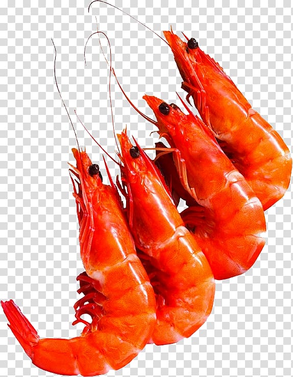 Caridean Shrimp Prawns Lobster Food, lobster transparent background PNG clipart