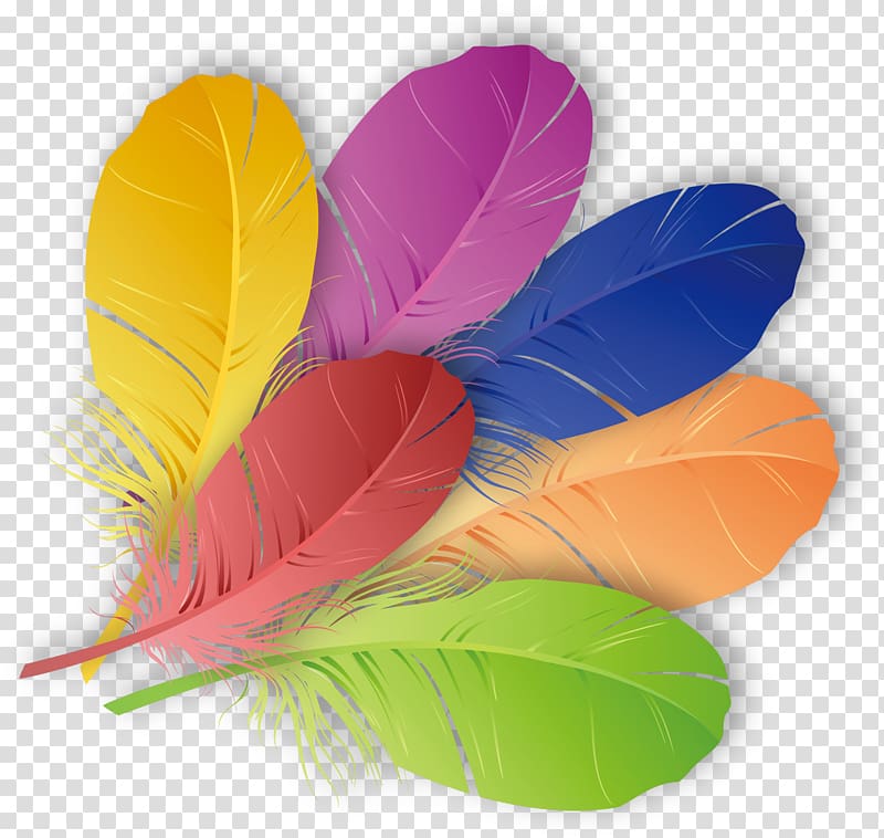 six assorted-color feathers, The Floating Feather Color, Colored feathers transparent background PNG clipart