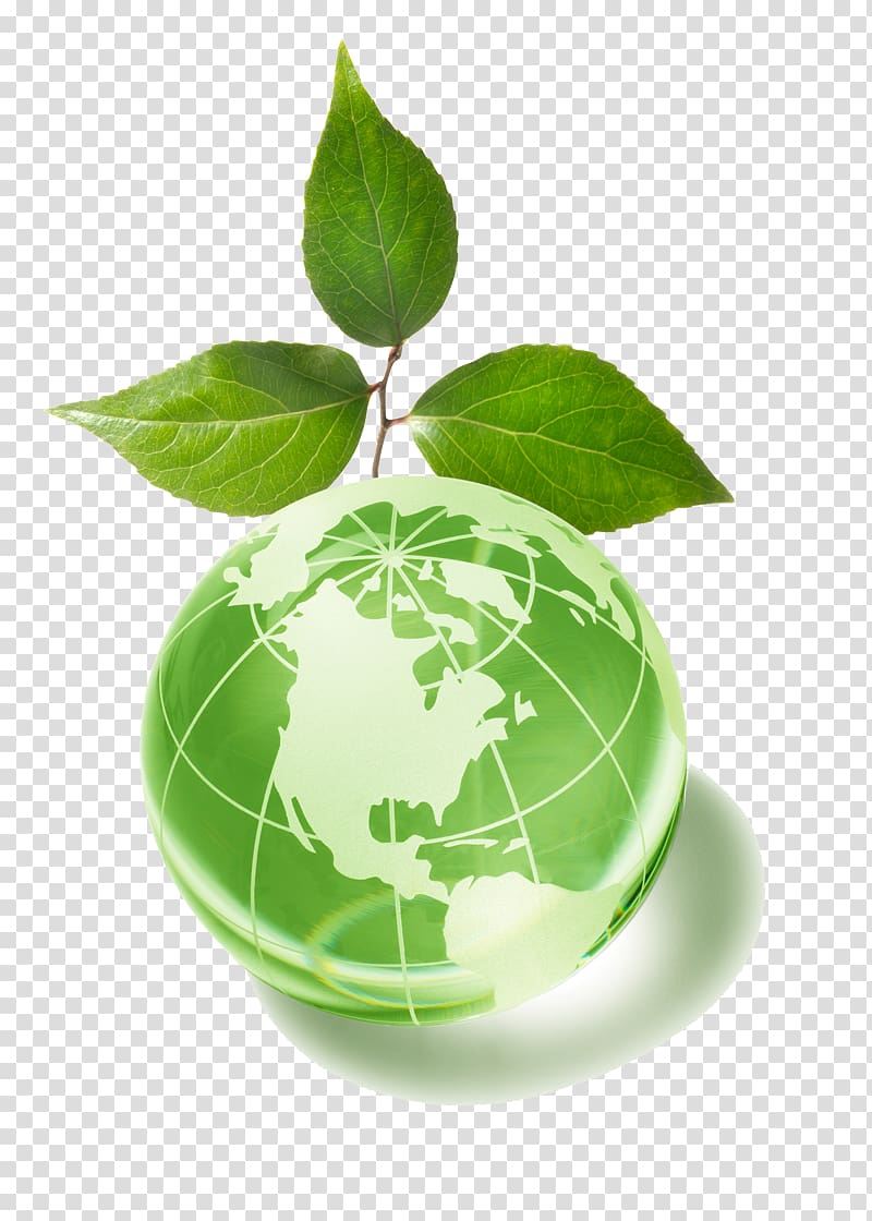 community based conservation in a globalized world clipart