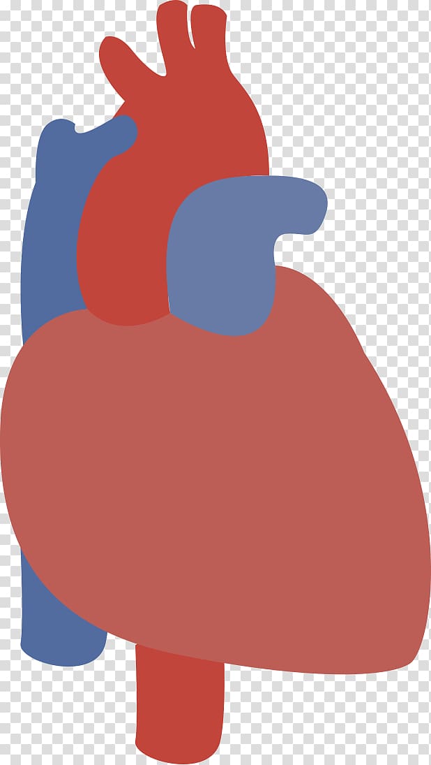 Nose , design transparent background PNG clipart