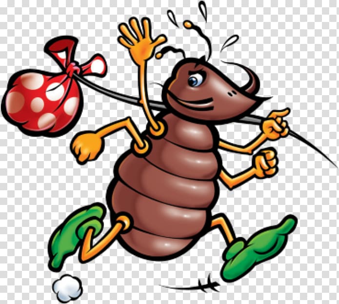 Head louse Lice Be Gone Aerosol spray Shampoo, cartoon problem based ...