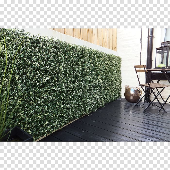 Hedge Box Fence Garden Wall, box transparent background PNG clipart