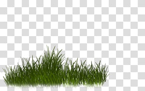 Desktop , others transparent background PNG clipart thumbnail