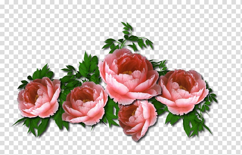 Garden roses Cut flowers Floristry, chic transparent background PNG clipart