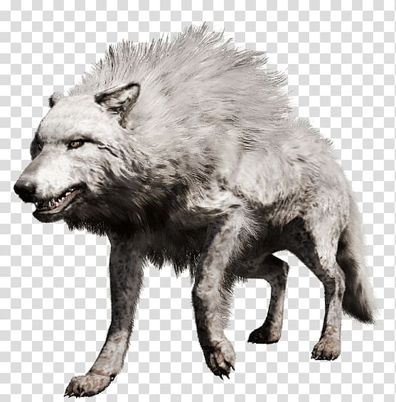 Far Cry Primal PlayStation 4 Gray wolf Far Cry 4, white wolf transparent background PNG clipart