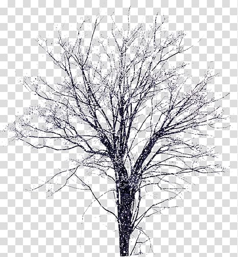 winter snow tree transparent background PNG clipart