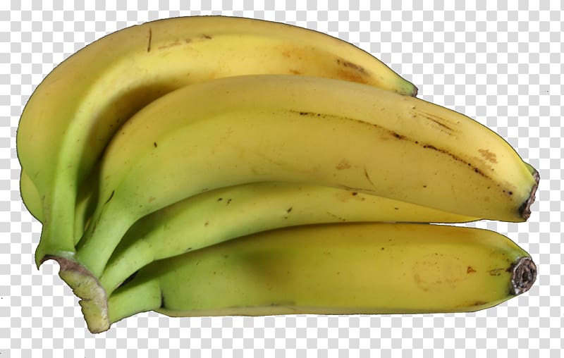Saba banana Cooking banana Musa × paradisiaca Fruit, Michael Corleone transparent background PNG clipart