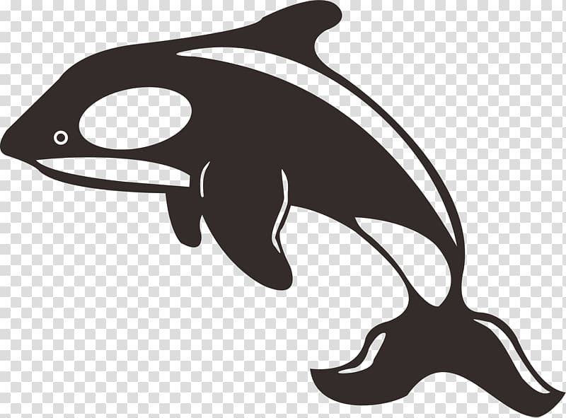 Dolphin Killer whale Toothed whale Black and white, dolphin transparent background PNG clipart