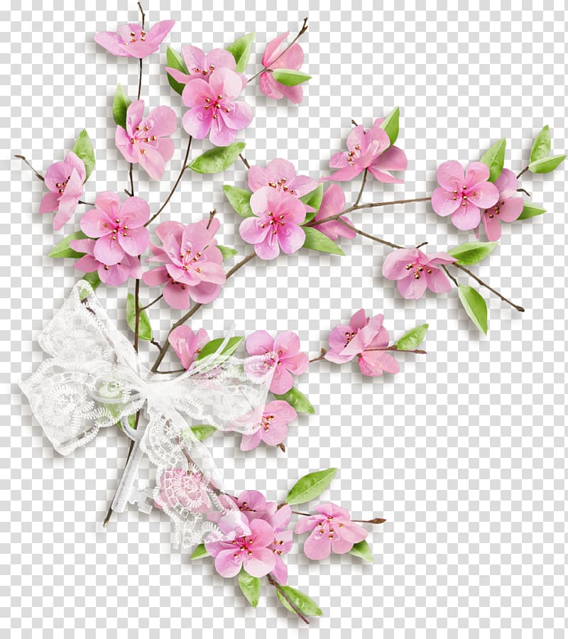 Cut flowers Floral design Petal, cherry blossom transparent background PNG clipart