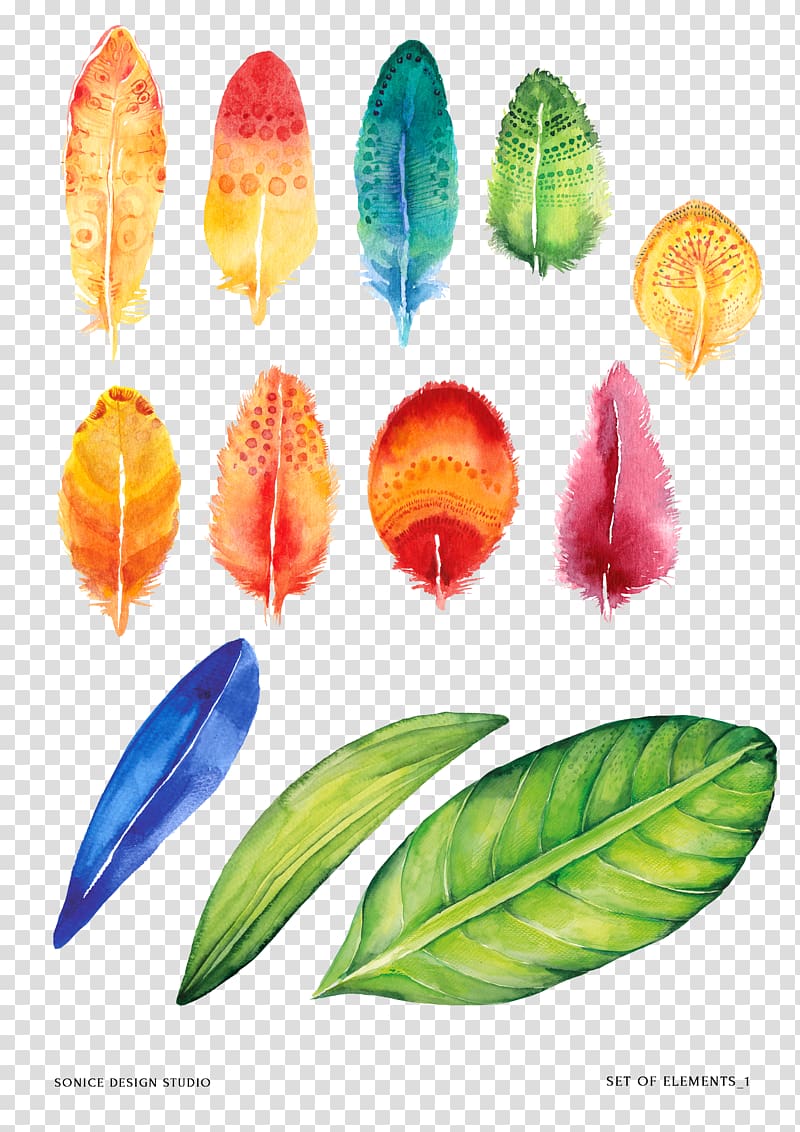 Painting, feather transparent background PNG clipart