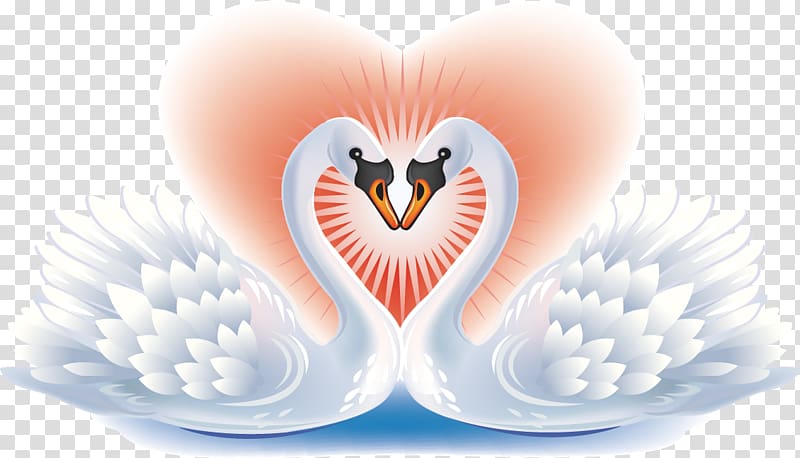 Black swan Bird Heart , Swan pattern transparent background PNG clipart