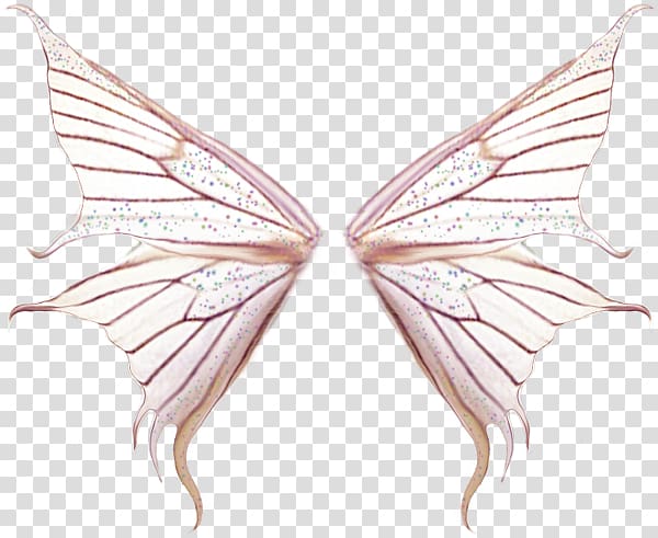 white and red butterfly wings illustration, Butterfly, Creative pink butterfly wings transparent background PNG clipart