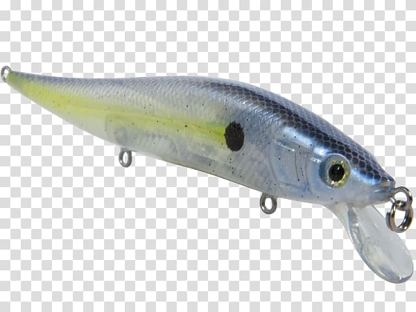 Spoon lure Milkfish Osmeriformes Oily fish, fish transparent background PNG clipart