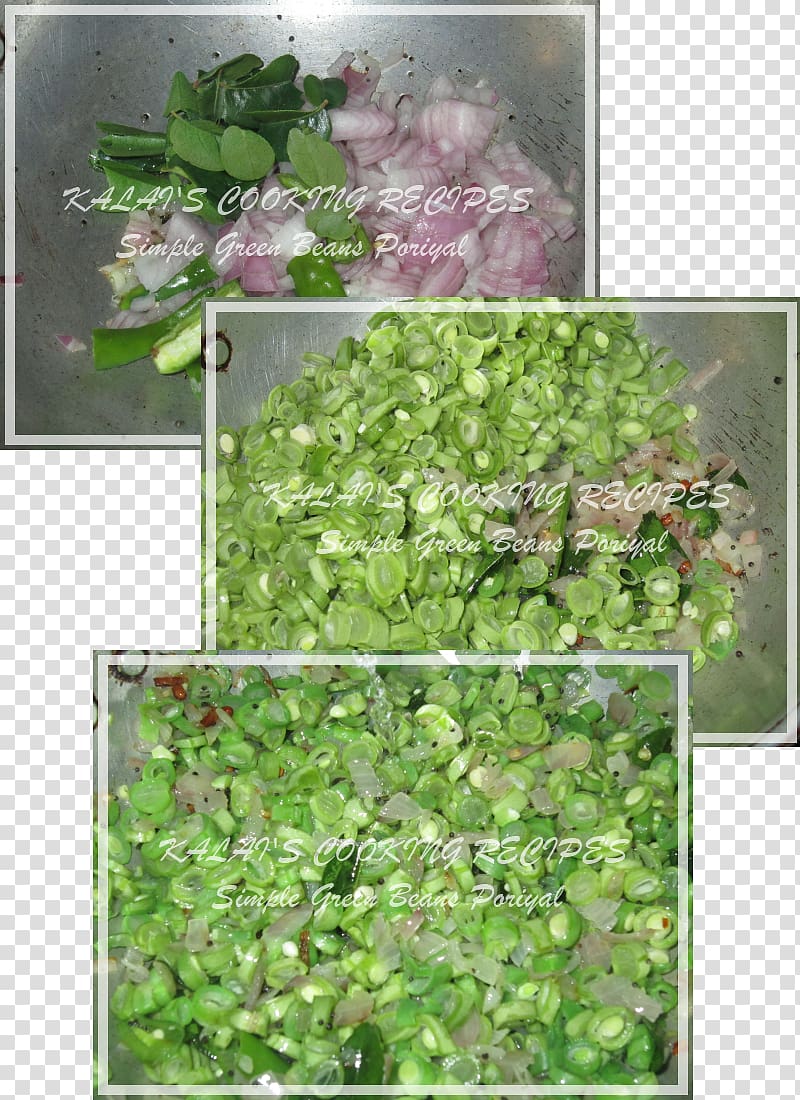 Herb Groundcover Lawn Shrub, others transparent background PNG clipart