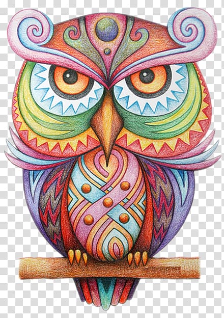 hand-painted color creative owl transparent background PNG clipart