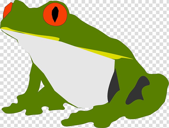 Frog Amphibian Favicon , Frog transparent background PNG clipart