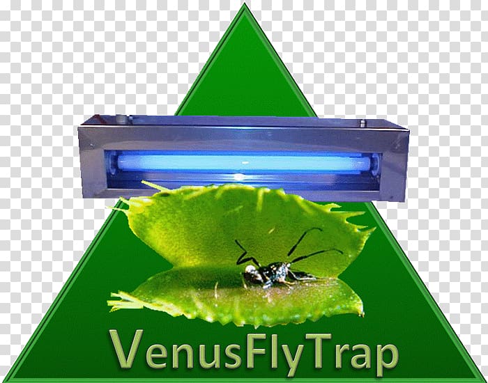 Insect Green Venus flytrap, venus flytrap transparent background PNG clipart