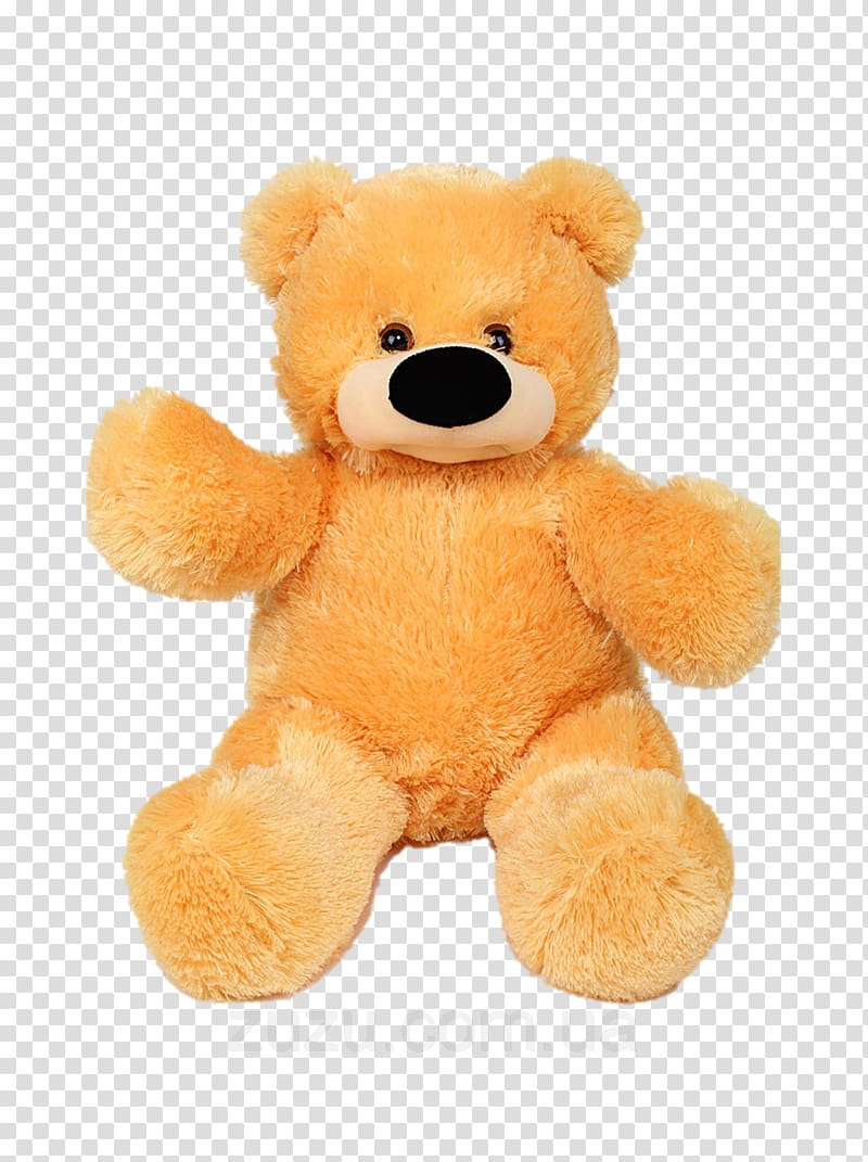 Teddy bear transparent background PNG clipart