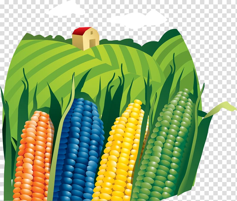 Farmer Agriculture , Corn field transparent background PNG clipart