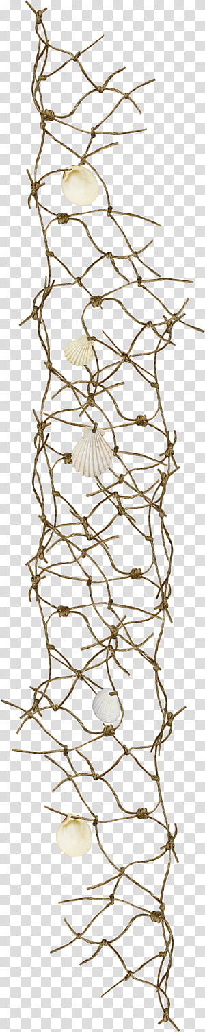 Sea shell on vines illustration, Fishing net Rope , Brown rope