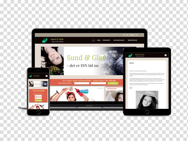 Blog Feng Shui Web design Multimedia Social media Joyful Life & Business, website ui design transparent background PNG clipart