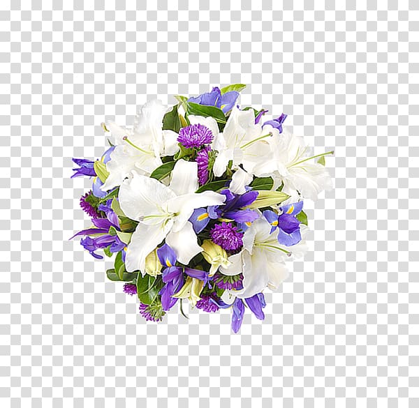 Flower White Lilium candidum, variety transparent background PNG clipart
