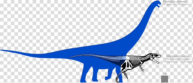 Mapusaurus Argentinosaurus Paralititan Bruhathkayosaurus Tyrannosaurus, dinosaur transparent background PNG clipart