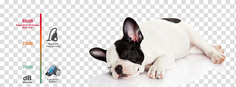 French Bulldog Robotic vacuum cleaner e.ziclean ULTRA SLIM V2, robot transparent background PNG clipart