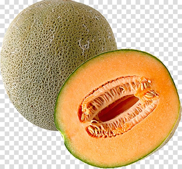 Melon transparent background PNG clipart