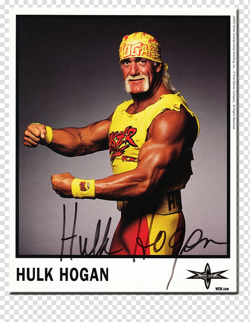 Hulk Hogan WrestleMania Professional wrestling Professional Wrestler WWE, hulk hogan transparent background PNG clipart