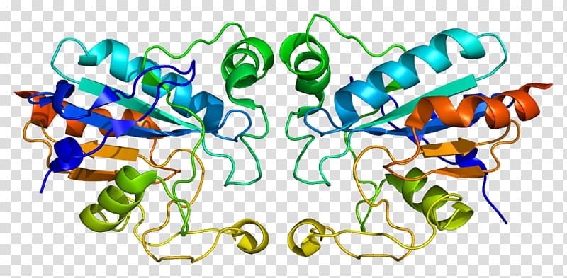Glutathione peroxidase GPX1 Selenoprotein, others transparent background PNG clipart