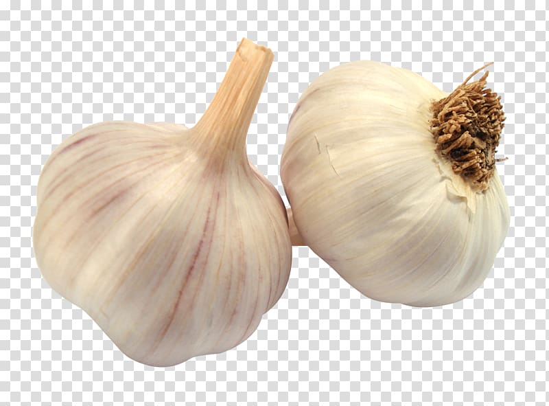 two white garlic illustration, Garlic bread Garlic soup Zankou Chicken, Garlic transparent background PNG clipart