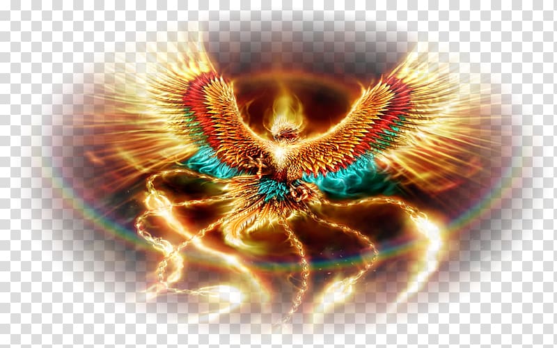 Phoenix Desktop Display resolution , Phoenix transparent background PNG clipart