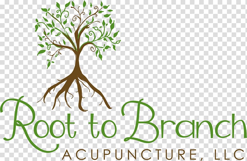 Logo Brand Plant stem Font, acupuncture transparent background PNG clipart