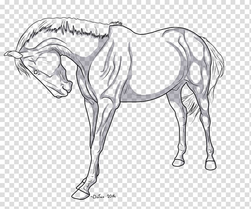 Mustang Arabian horse Stallion Line art American Quarter Horse, parting line transparent background PNG clipart