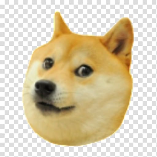 Shiba Inu , Shiba Inu 0 Star Doge: Weird Game T-shirt, doge transparent background PNG clipart