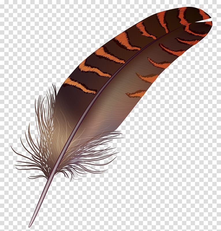 Bird Feather Quill Paint, Hand-painted feathers transparent background PNG clipart