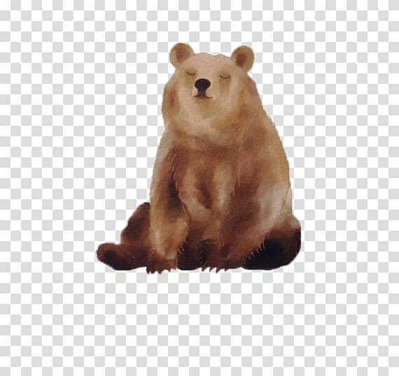 Baby Polar Bears Brown bear American black bear, Brown Panda transparent background PNG clipart