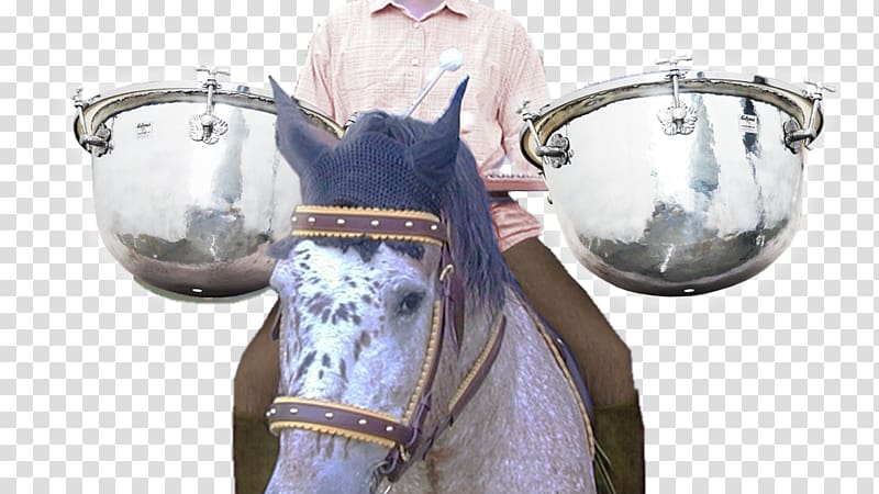 Timpani Horse Lefima Percussion Drum, horse transparent background PNG clipart