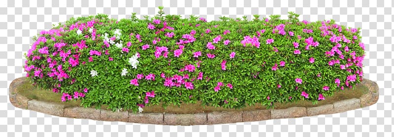 , bushes transparent background PNG clipart