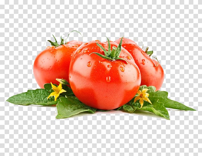 three red tomatoes, Vegetable Tomato Lettuce Fruit Food, tomato transparent background PNG clipart