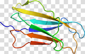 Line Point , line transparent background PNG clipart thumbnail