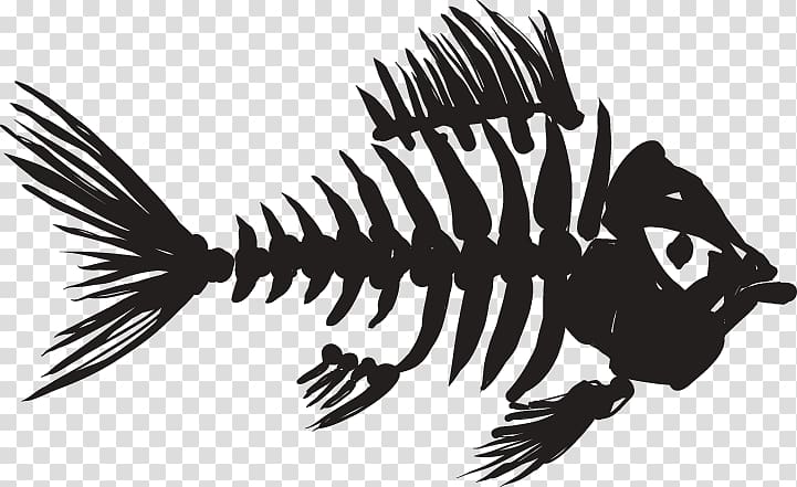 Skeleton Fish bone Fish bone , Skeleton transparent background PNG clipart