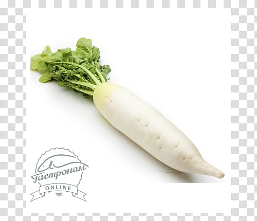 Chinese cuisine Daikon Cải củ Chinese broccoli Vegetable, vegetable transparent background PNG clipart