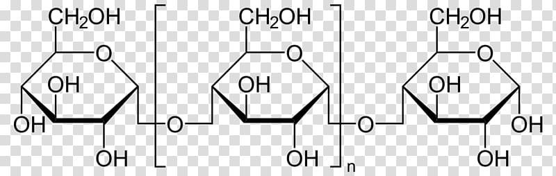 disaccharide maltose